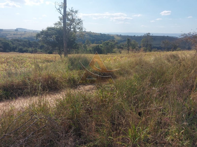 Aliança Imóveis - Imobiliária em Ribeirão Preto - SP - Fazenda  - Zona Rural - Passos