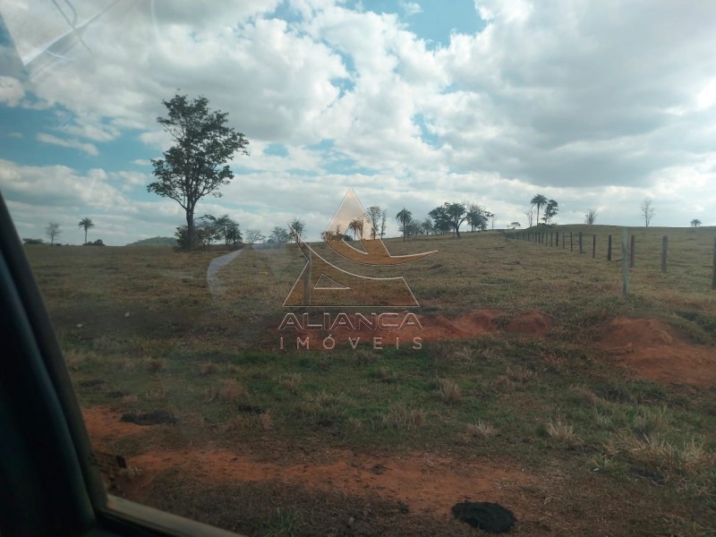 Aliança Imóveis - Imobiliária em Ribeirão Preto - SP - Fazenda  - Zona Rural - Passos