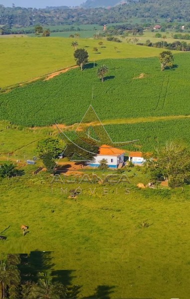 Aliança Imóveis - Imobiliária em Ribeirão Preto - SP - Fazenda  - Zona Rural - Passos