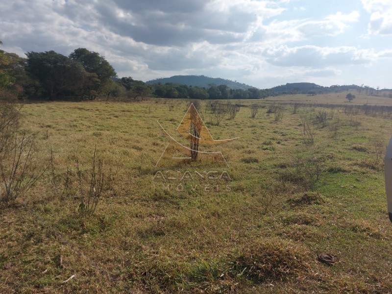 Aliança Imóveis - Imobiliária em Ribeirão Preto - SP - Fazenda  - Zona Rural - Passos