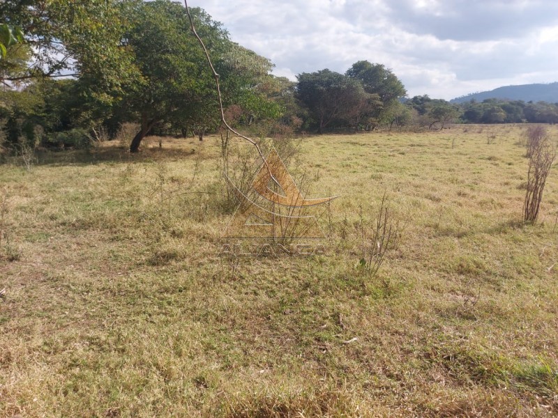 Aliança Imóveis - Imobiliária em Ribeirão Preto - SP - Fazenda  - Zona Rural - Passos