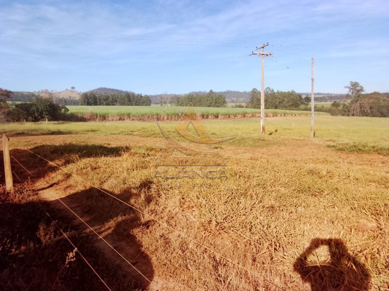 Aliança Imóveis - Imobiliária em Ribeirão Preto - SP - Fazenda  - Zona Rural - Casa Branca