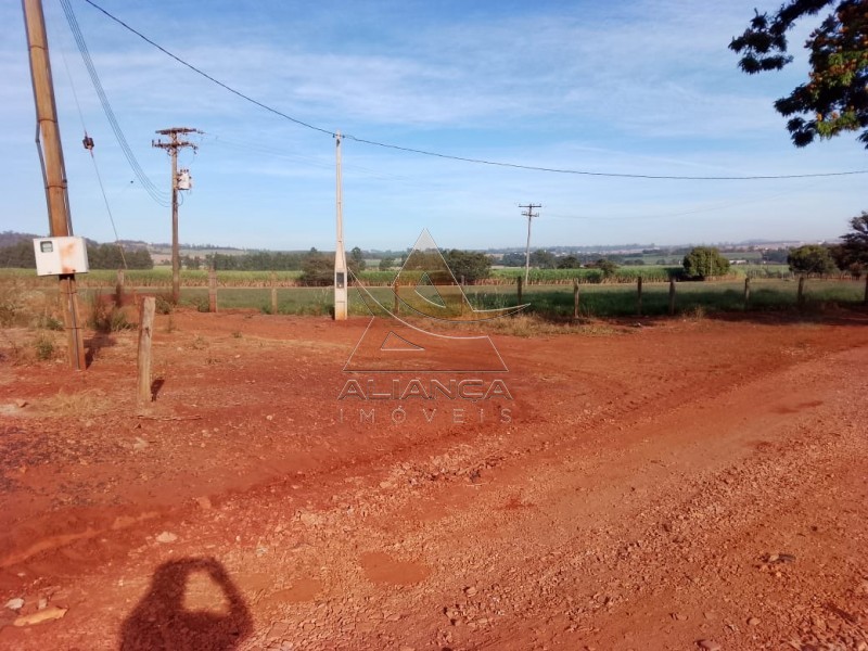 Aliança Imóveis - Imobiliária em Ribeirão Preto - SP - Fazenda  - Zona Rural - Casa Branca