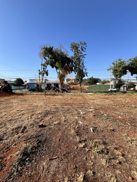 Aliança Imóveis - Imobiliária em Ribeirão Preto - SP - Terreno - Parque São Sebastião - Ribeirão Preto