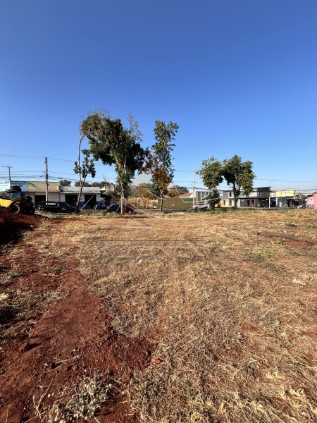 Aliança Imóveis - Imobiliária em Ribeirão Preto - SP - Terreno - Parque São Sebastião - Ribeirão Preto