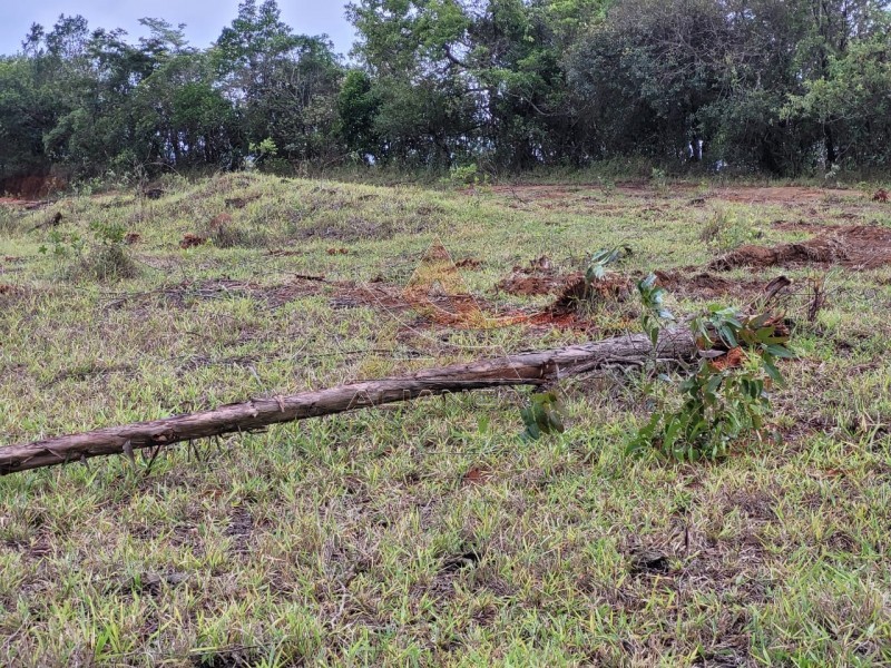 Aliança Imóveis - Imobiliária em Ribeirão Preto - SP - Fazenda  - Zona Rural - Santo Antônio do Amparo