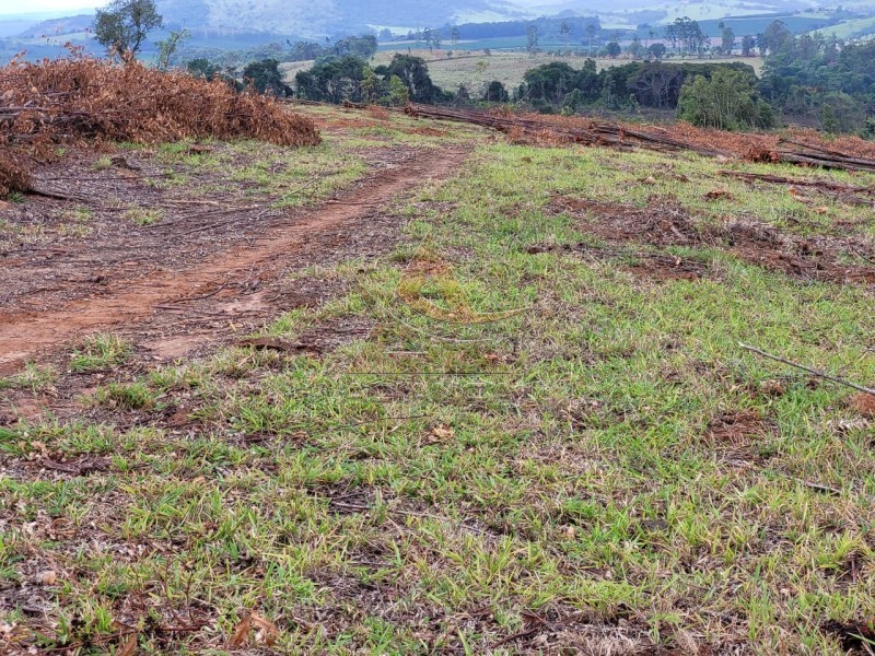 Aliança Imóveis - Imobiliária em Ribeirão Preto - SP - Fazenda  - Zona Rural - Santo Antônio do Amparo