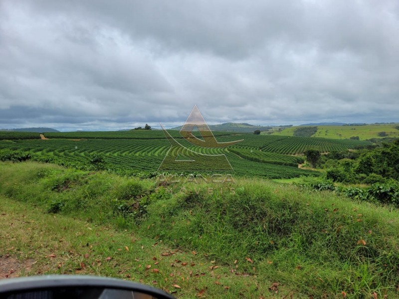 Aliança Imóveis - Imobiliária em Ribeirão Preto - SP - Fazenda  - Zona Rural - Santo Antônio do Amparo