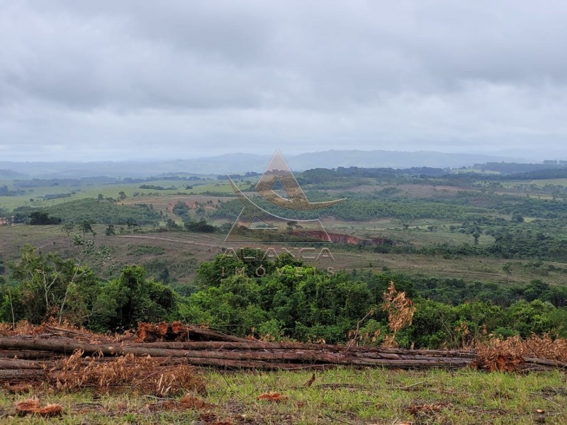 Aliança Imóveis - Imobiliária em Ribeirão Preto - SP - Fazenda  - Zona Rural - Santo Antônio do Amparo