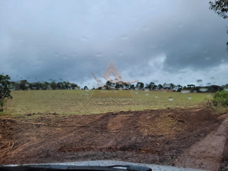 Aliança Imóveis - Imobiliária em Ribeirão Preto - SP - Fazenda  - Zona Rural - Santo Antônio do Amparo