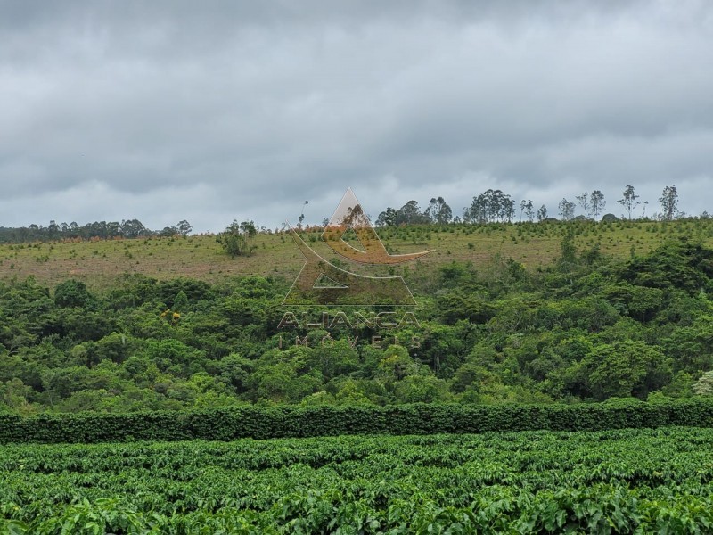 Aliança Imóveis - Imobiliária em Ribeirão Preto - SP - Fazenda  - Zona Rural - Santo Antônio do Amparo