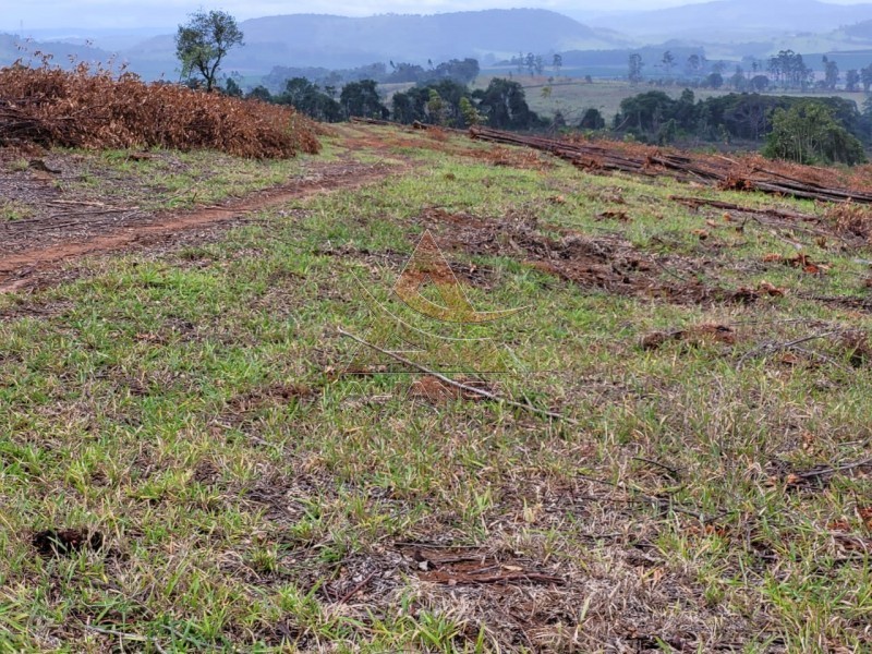 Aliança Imóveis - Imobiliária em Ribeirão Preto - SP - Fazenda  - Zona Rural - Santo Antônio do Amparo