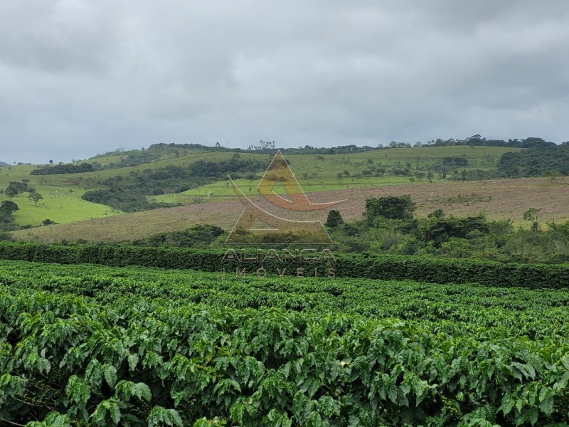 Aliança Imóveis - Imobiliária em Ribeirão Preto - SP - Fazenda  - Zona Rural - Santo Antônio do Amparo