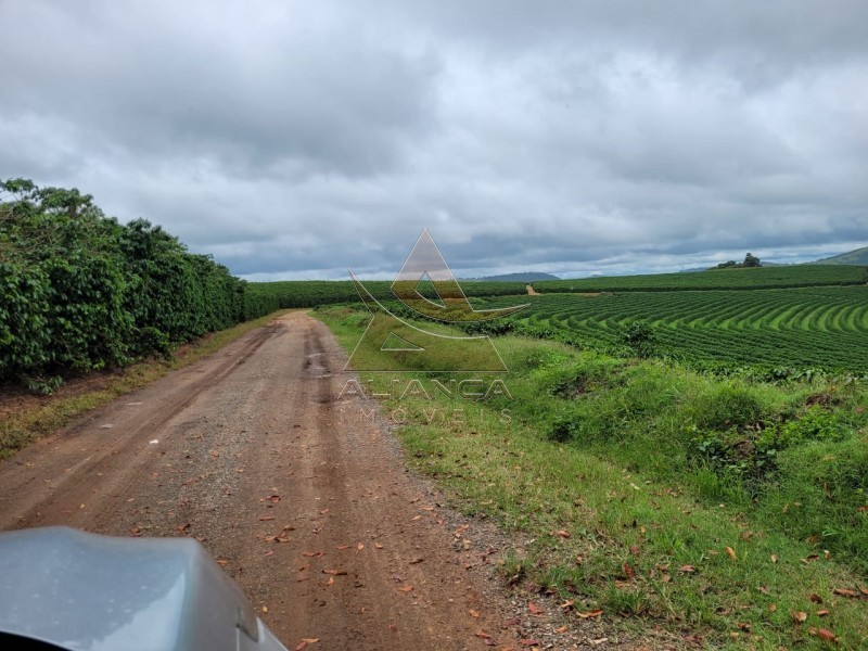 Aliança Imóveis - Imobiliária em Ribeirão Preto - SP - Fazenda  - Zona Rural - Santo Antônio do Amparo