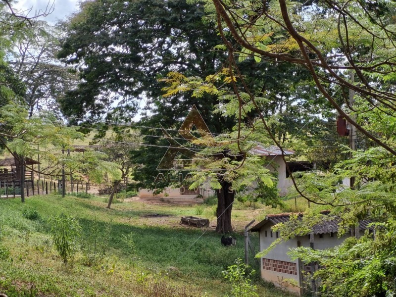 Aliança Imóveis - Imobiliária em Ribeirão Preto - SP - Fazenda  - Zona Rural - São João Del Rei