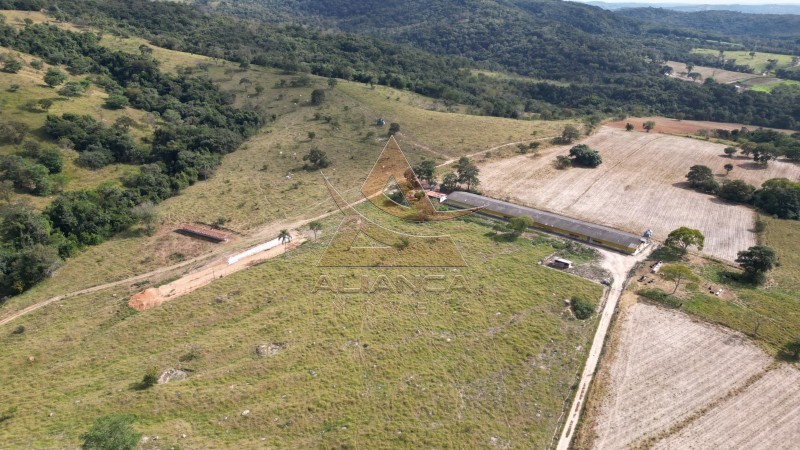 Aliança Imóveis - Imobiliária em Ribeirão Preto - SP - Fazenda  - Zona Rural - São João Del Rei