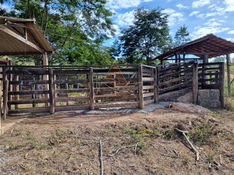 Aliança Imóveis - Imobiliária em Ribeirão Preto - SP - Fazenda  - Zona Rural - São João Del Rei