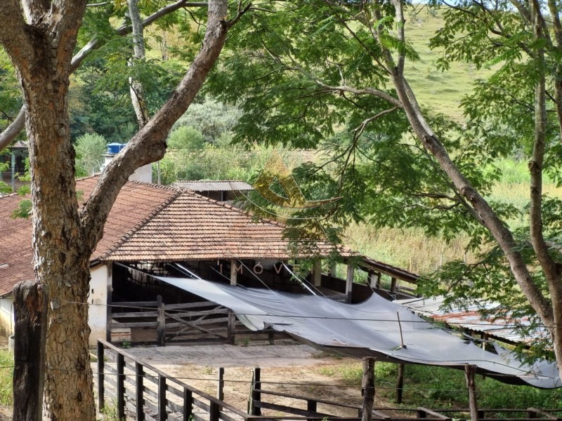 Aliança Imóveis - Imobiliária em Ribeirão Preto - SP - Fazenda  - Zona Rural - São João Del Rei