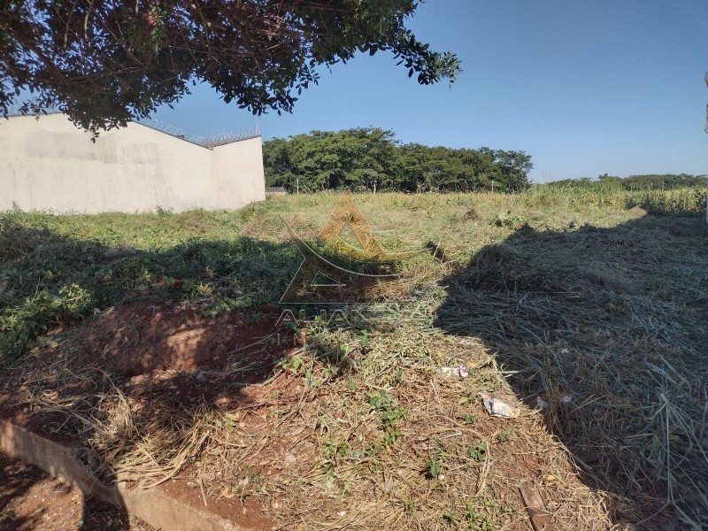 Terreno à venda, 200m² - Foto 1