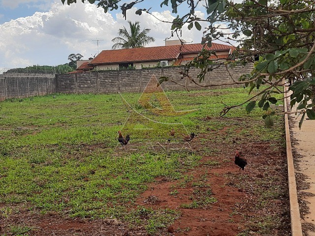 Terreno à venda, 988m² - Foto 2