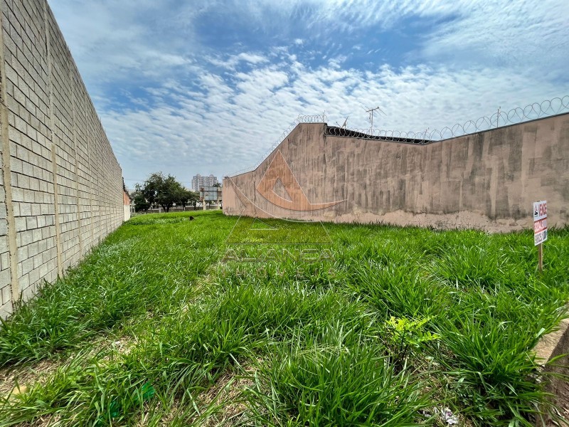 Terreno à venda, 305m² - Foto 3