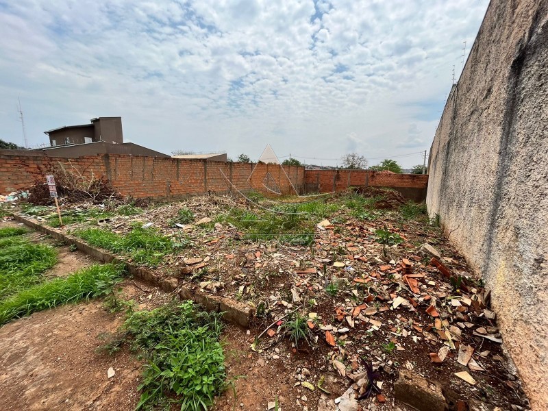 Aliança Imóveis - Imobiliária em Ribeirão Preto - SP - Terreno - Cidade Universitária - Ribeirão Preto