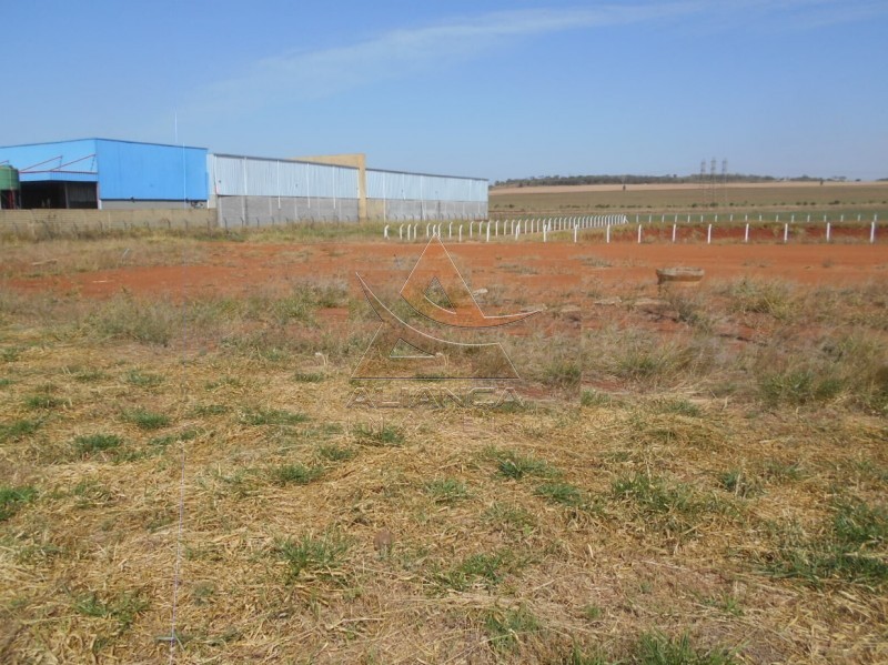 Terreno - Recreio Anhanguera - Ribeirão Preto