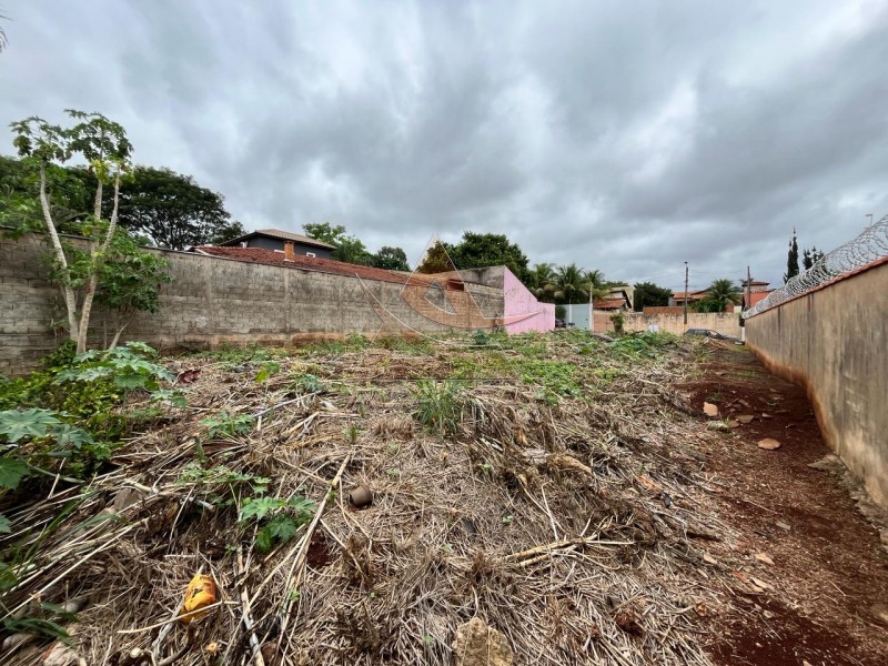 Aliança Imóveis - Imobiliária em Ribeirão Preto - SP - Terreno - City Ribeirão - Ribeirão Preto